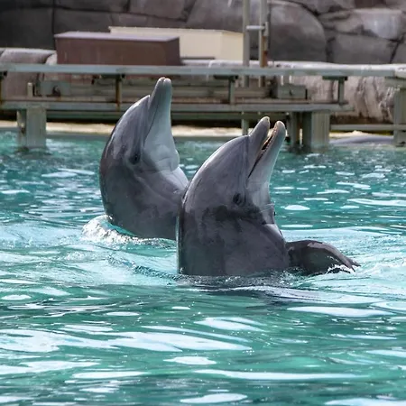 Il Nido Di Chloe Cod. Citra 011027-lt-0239 Apartment Sarzana