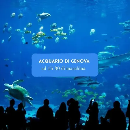 Il Nido Di Chloe Cod. Citra 011027-lt-0239 * Sarzana